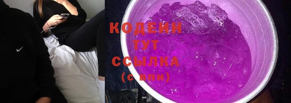 амф Козловка
