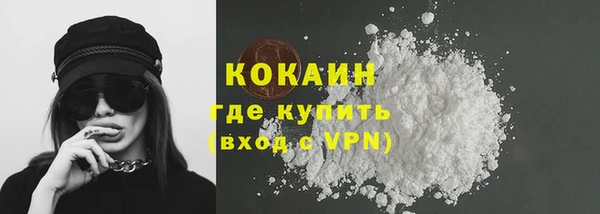 мдпв Кодинск