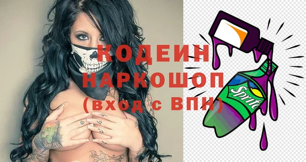 мдпв Кодинск