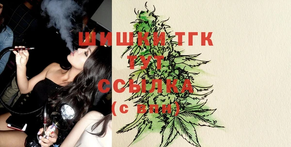 амф Козловка