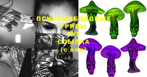 мдпв Кодинск