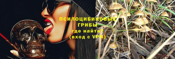 амф Козловка