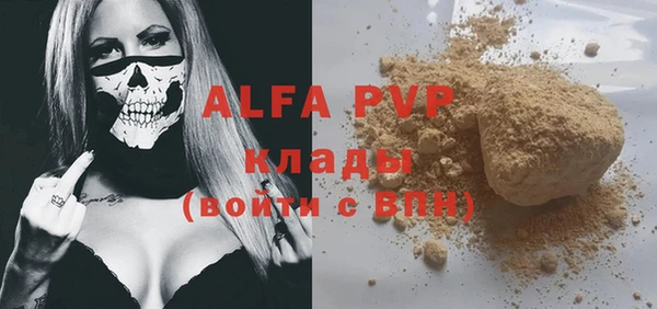 амф Козловка