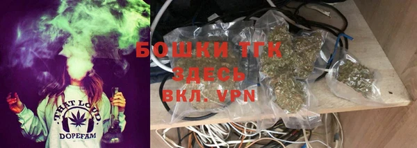 мдпв Кодинск