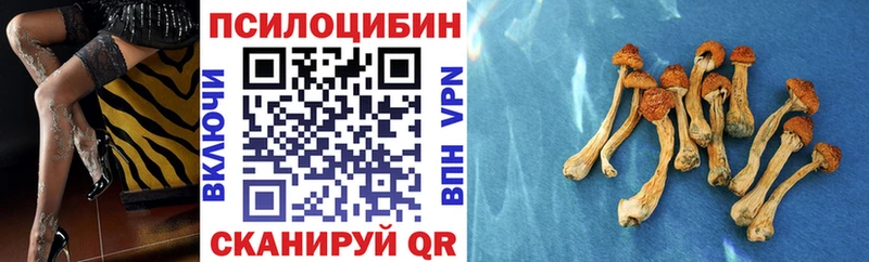 Галлюциногенные грибы мицелий  Купить  Сольвычегодск 